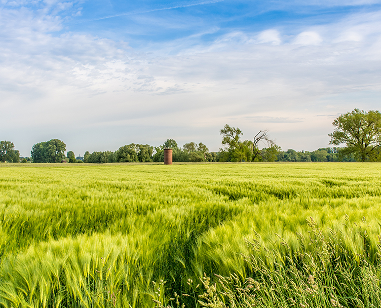 Immobilienmakler Niederrhein